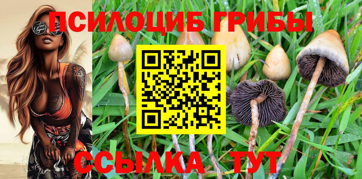 Коркино  Галлюциногенные грибы Psilocybine cubensis  Вход с VPN 